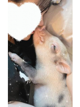 カルテ デイシフト - ひなたの女の子ブログ画像