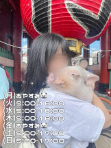 カルテ デイシフト - ひなたの女の子ブログ画像