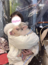 カルテ デイシフト - ひなたの女の子ブログ画像