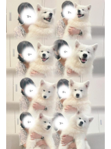 カルテ デイシフト - ひなたの女の子ブログ画像