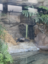 はっち 神田店 - ねこの女の子ブログ画像