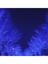 渋谷 FLAMINGO - なつめの女の子ブログ画像