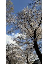 渋谷 FLAMINGO - なつめの女の子ブログ画像