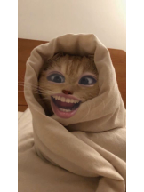 渋谷 FLAMINGO - なつめの女の子ブログ画像