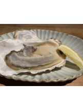 渋谷 FLAMINGO - なつめの女の子ブログ画像