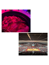 キュンキュン - かなのの女の子ブログ画像