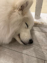 ビアガーデンカーニバル - みさこの女の子ブログ画像