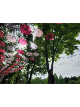 G-SCANDAL - さりなの女の子ブログ画像