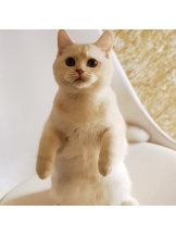 渋谷 FLAMINGO - ゆんの女の子ブログ画像