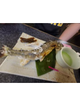 バービー - まきの女の子ブログ画像