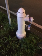 生乳 - ひなみの女の子ブログ画像