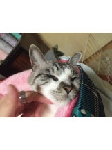 生乳 - ひなみの女の子ブログ画像
