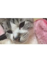 生乳 - ひなみの女の子ブログ画像