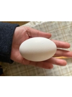 生乳 - ひなみの女の子ブログ画像