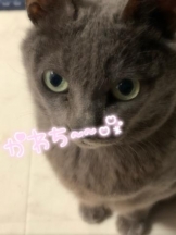Betty - まみの女の子ブログ画像