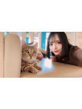 Flamingo - あおいの女の子ブログ画像