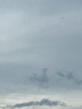 Flamingo - あおいの女の子ブログ画像