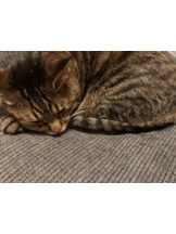 サッポロ ガーデン - じぇにーの女の子ブログ画像