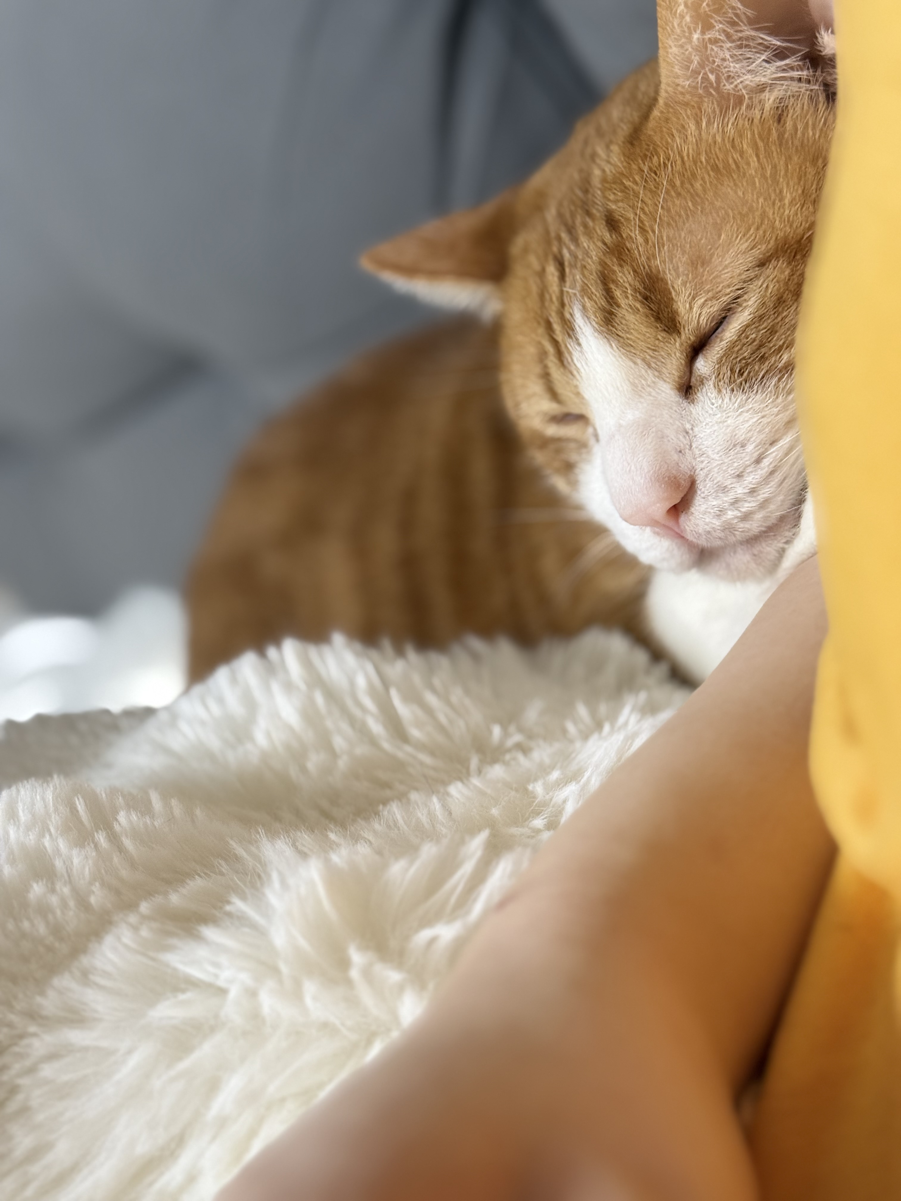 女の子ブログ添付画像1