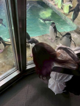 Mandarin Club - 虹村 まみの女の子ブログ画像