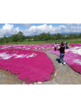 Mandarin Club - ゆうの女の子ブログ画像