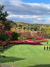 Mandarin Club - ゆうの女の子ブログ画像