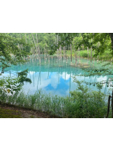 Mandarin Club - ゆうの女の子ブログ画像