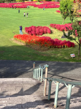 Mandarin Club - ゆうの女の子ブログ画像