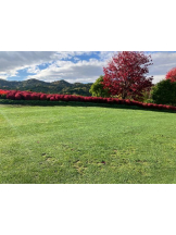 Mandarin Club - ゆうの女の子ブログ画像