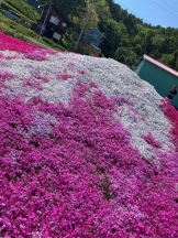 Mandarin Club - ゆうの女の子ブログ画像