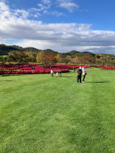 Mandarin Club - ゆうの女の子ブログ画像