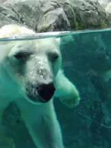 Mandarin Club - ゆうの女の子ブログ画像