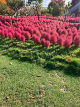 Mandarin Club - ゆうの女の子ブログ画像