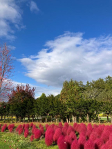 Mandarin Club - ゆうの女の子ブログ画像