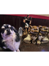 Mandarin Club - ゆうの女の子ブログ画像