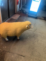 Mandarin Club - ゆうの女の子ブログ画像