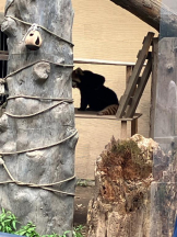 Mandarin Club - ゆうの女の子ブログ画像