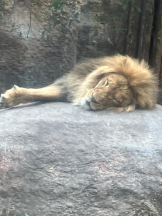 Mandarin Club - ゆうの女の子ブログ画像