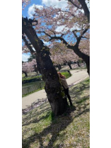 ばすたぶ - せらの女の子ブログ画像