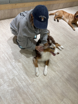 サッポロ ガーデン - ゆかの女の子ブログ画像