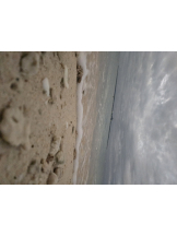 リアーナ - りんの女の子ブログ画像