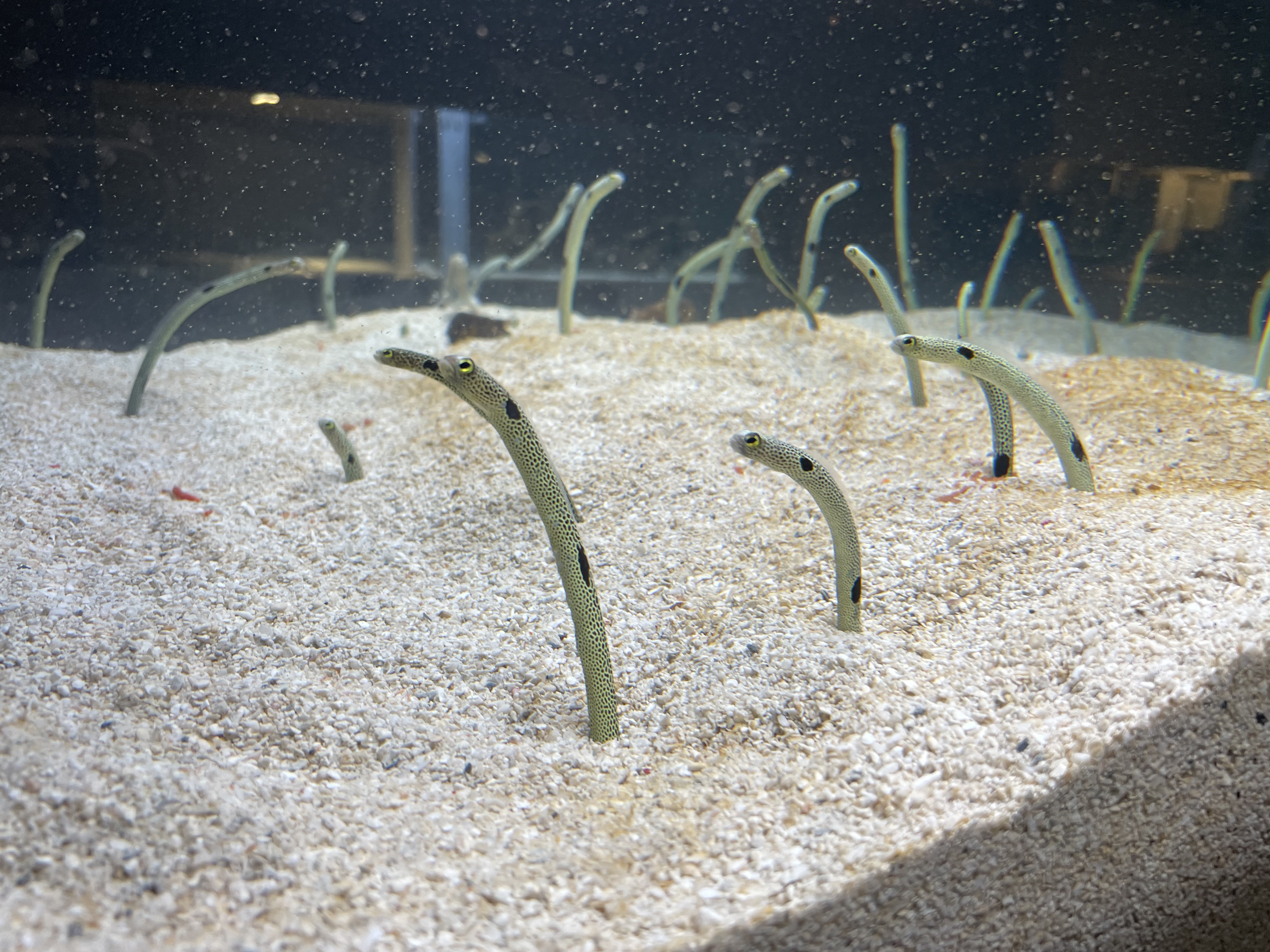 女の子ブログ添付画像1