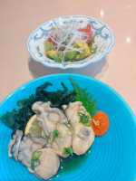 Flamingo - れみの女の子ブログ画像