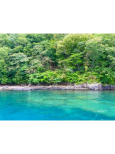DREAM BEACH - にこの女の子ブログ画像