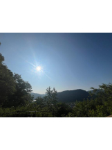 DREAM BEACH - にこの女の子ブログ画像