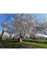 DREAM BEACH - にこの女の子ブログ画像