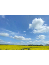 DREAM BEACH - にこの女の子ブログ画像