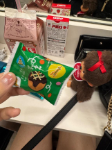 まいっちんぐ - さき先生の女の子ブログ画像