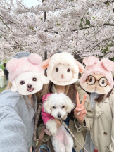 はだえぷ - ゆいりの女の子ブログ画像