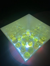 Flamingo - ひまの女の子ブログ画像